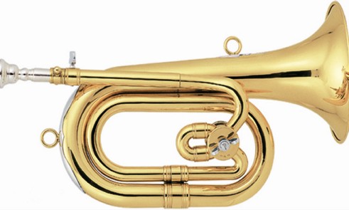 Bugle Horn